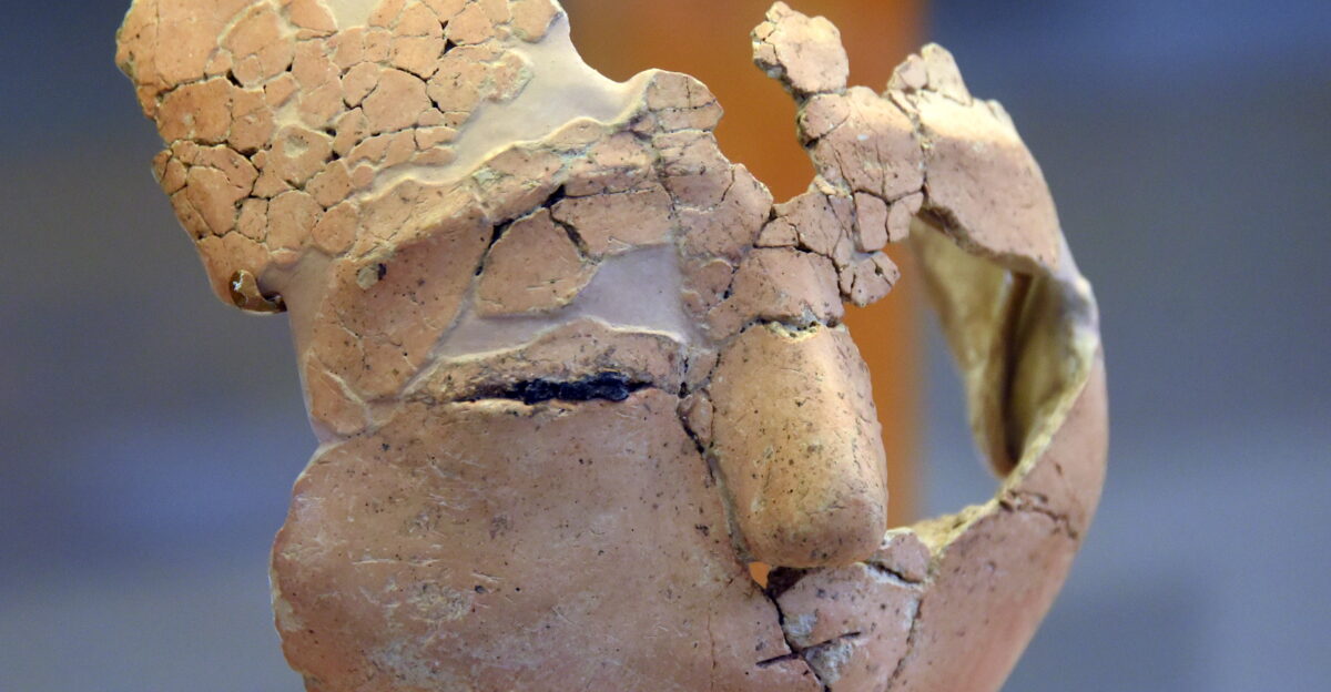 File Plastered face modeled on a human skull From Ain Ghazal