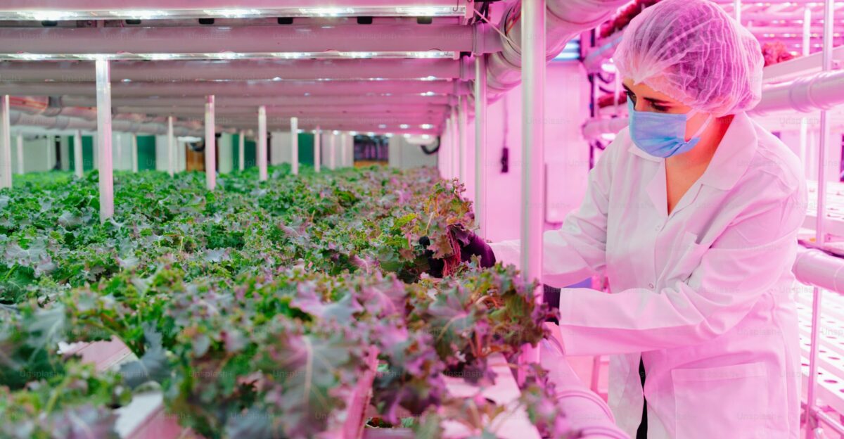 A woman in a white lab coat and mask working in a greenhouse photo