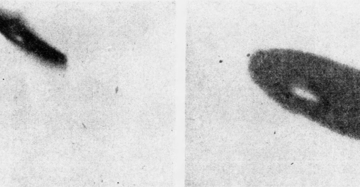 flying disc craze - Wikipedia