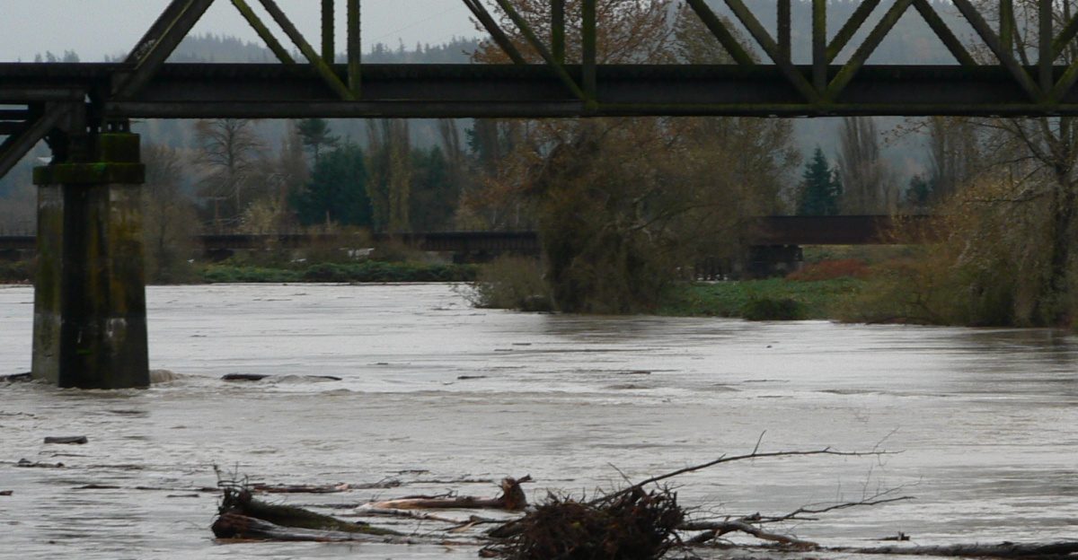 <a href="//commons.wikimedia.org/wiki/Snohomish_River" title="Snohomish River">Snohomish River</a> flood with woody debris, Burlington Northern Bridge; gage height (USGS 12155500) at 15:30, November 6, 2006, was 26.94 feet, flood stage is 25 feet; <a href="//commons.wikimedia.org/wiki/Pineapple_Express" title="Pineapple Express">Pineapple Express</a>