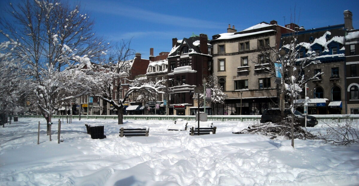 Broken tree limbs following the North American blizzard of 2010 lying in a Dupont Circle park at the intersection of 20th Street Q Street and Connecticut Avenue N W in Washington D C Shops located on the 1600 block of Connecticut Avenue N W are visible in the background