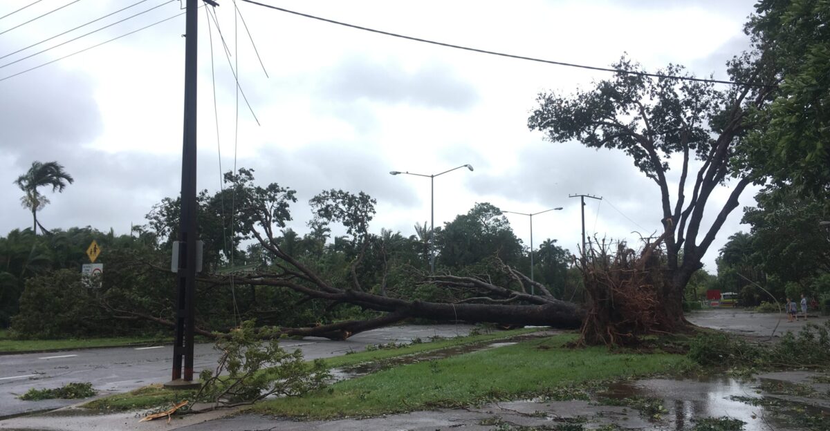 Tree and power line damage in Parap Darwin from Cyclone Marcus in March 2018