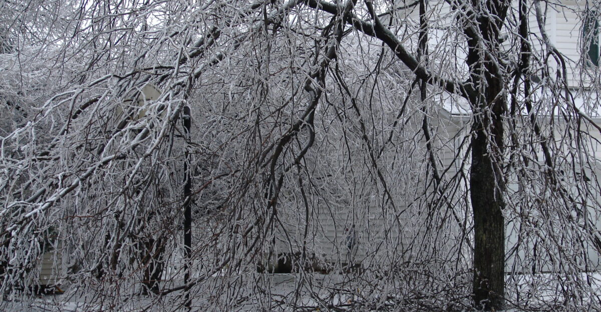 Ice storm warning - Wikipedia