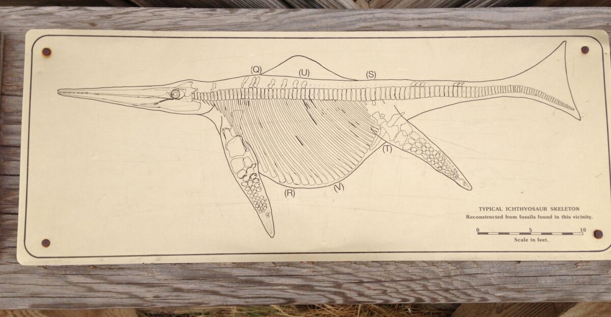 Sign displaying an ichthyosaur skeleton at the fossil shelter in Berlin-Ichthyosaur State Park Nevada