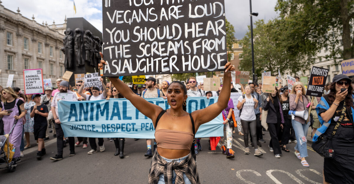 An animal rights protester in London s Whitehall holds up a placard with the words If you think vegans are loud you should hear the screams from the slaughter house She was among a group of activists who were marching from Marble Arch to Parliament Square on 26 August 2023 According to one activist I talked to not present in this photograph the protesters were demanding the end to all types of animal exploitation and he personally maintained that universal veganism was the only ethical and humane option and also a vital tool to prevent catastrophic climate change