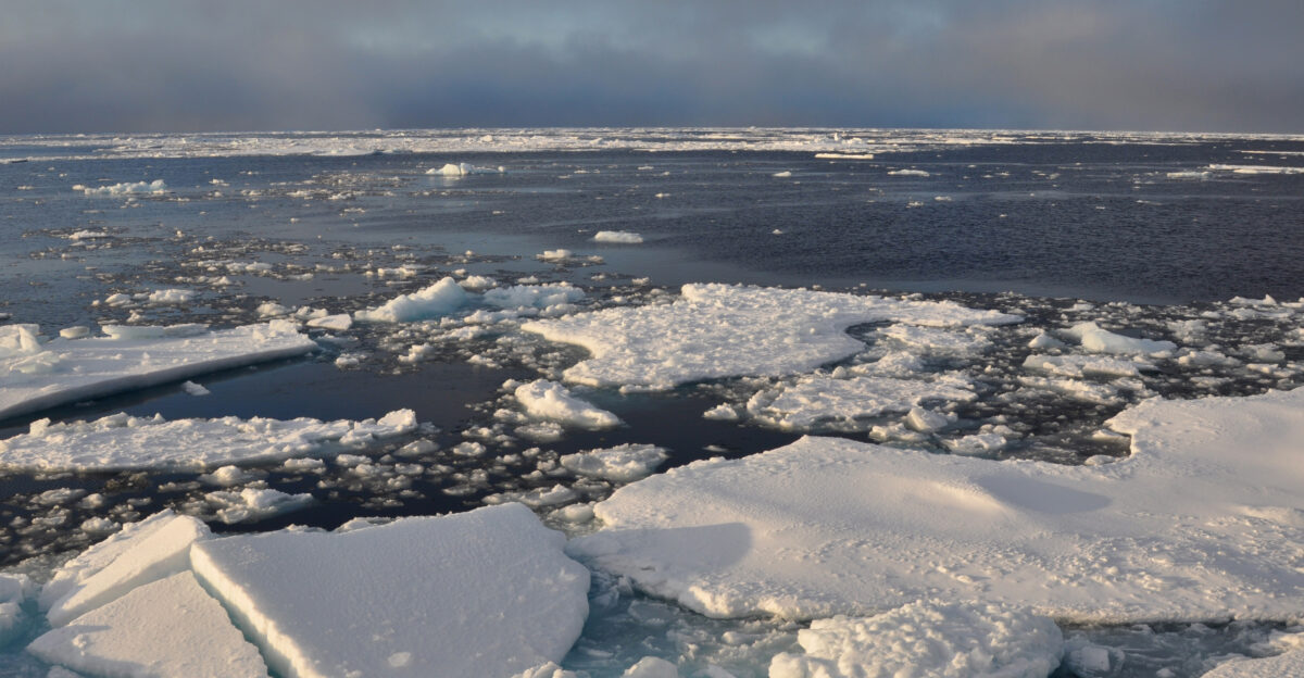 A photograph of the Arctic ice