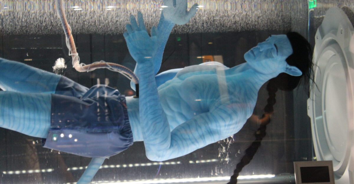 Avatar Flight of Passage