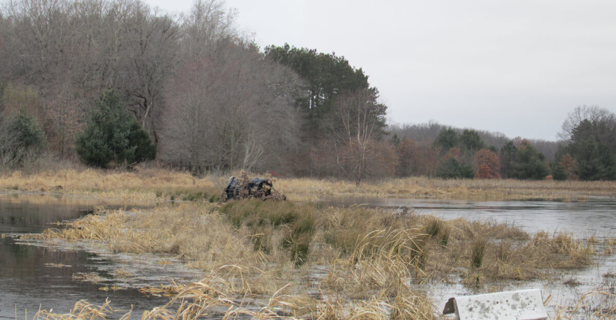 Classified Wildlife Habitat Starke County Indiana