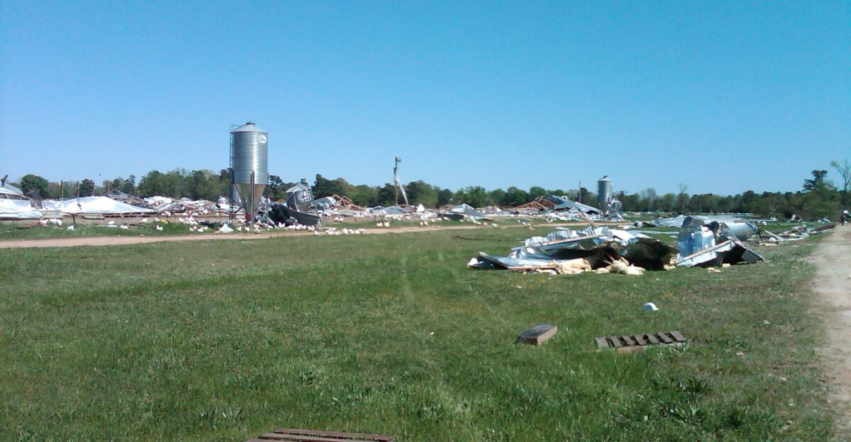 Four chicken houses that were destroyed by an EF2 tornado east of Blevins Arkansas Metal from the houses was thrown up to 3 miles away