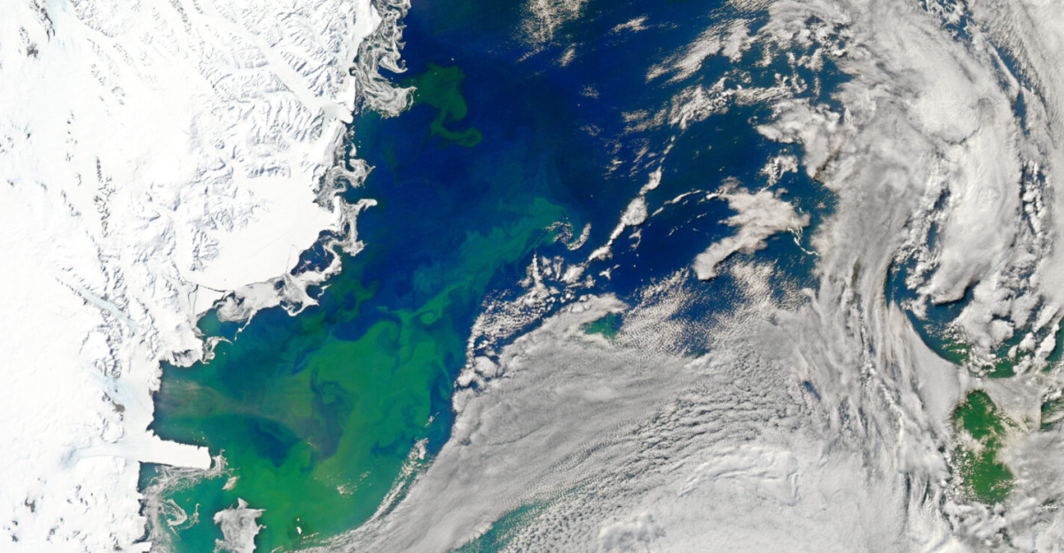 This true-colour image captures a bloom in the Ross Sea.
