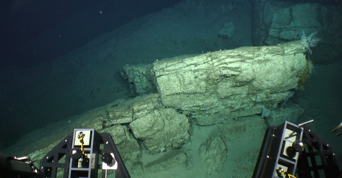 The National Oceanic and Atmospheric Administration remotely operated underwater vehicle Deep Discoverer encounters a large carbonate rock on the seafloor in Mona Passage