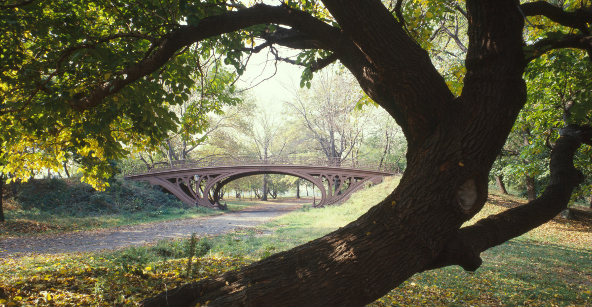 Central Park Bridges view from Bridlepath looking southwest Gothic Arch Spanning bridlepath south of tennis courts north of reservoir New York City New York County NY