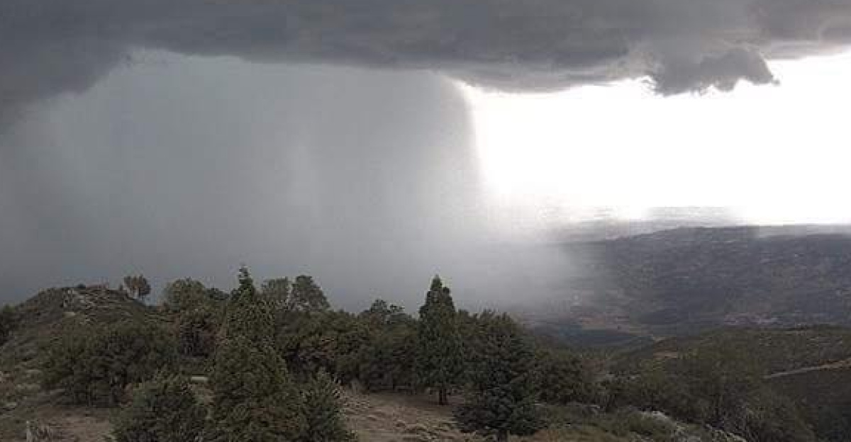 Scattered thunder showers are over the Cleveland at the moment. These can bring lightning and intense rain. There is also the possibility of flash flooding. Be careful out there!
Screen capture of webcam footage from Highpoint Lookout Tower on Palomar Mountain.
