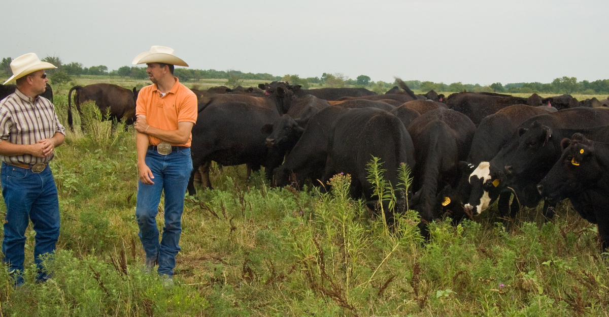 Larry Huntington, USDA, FAS, Farm Loan Manager (left) and Justin Maxey (right) survey cattle Maxey purchased with, both a U. S. Department of Agriculture, Farm Services Agency (FSA) Beginning Farmer and a Rancher Loan and an Ownership Loan.  Maxey was able to double his herd with a second loan with money available through the American Recovery and Reinvestment Act of 2009 (ARRA). “ I would not have been able to buy these new cows and needed supplies without this loan.”