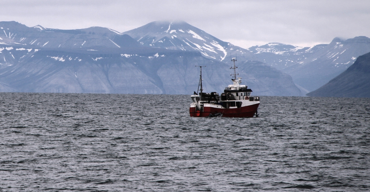 Fishing boat sailing in the Isfjorden bay towards dickson Fjord, with James I Land (left) and Dickson Land (right) in the background.