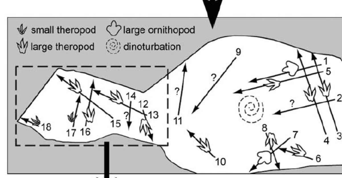 Dinosaur tracksite of the Chacarilla Formation, Chile