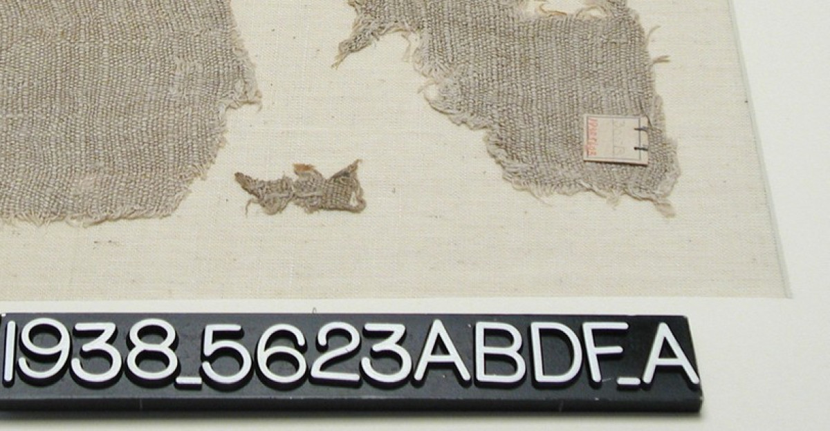 A photograph of linen cloth fragments