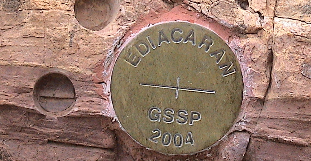 The 'golden spike' marking the Global Boundary Stratotype Section and Point (GSSP) at the base of the Ediacaran Period