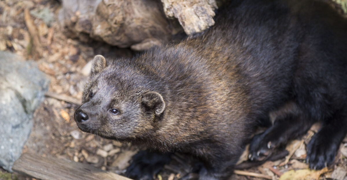 NPS photo by Emily Brouwer