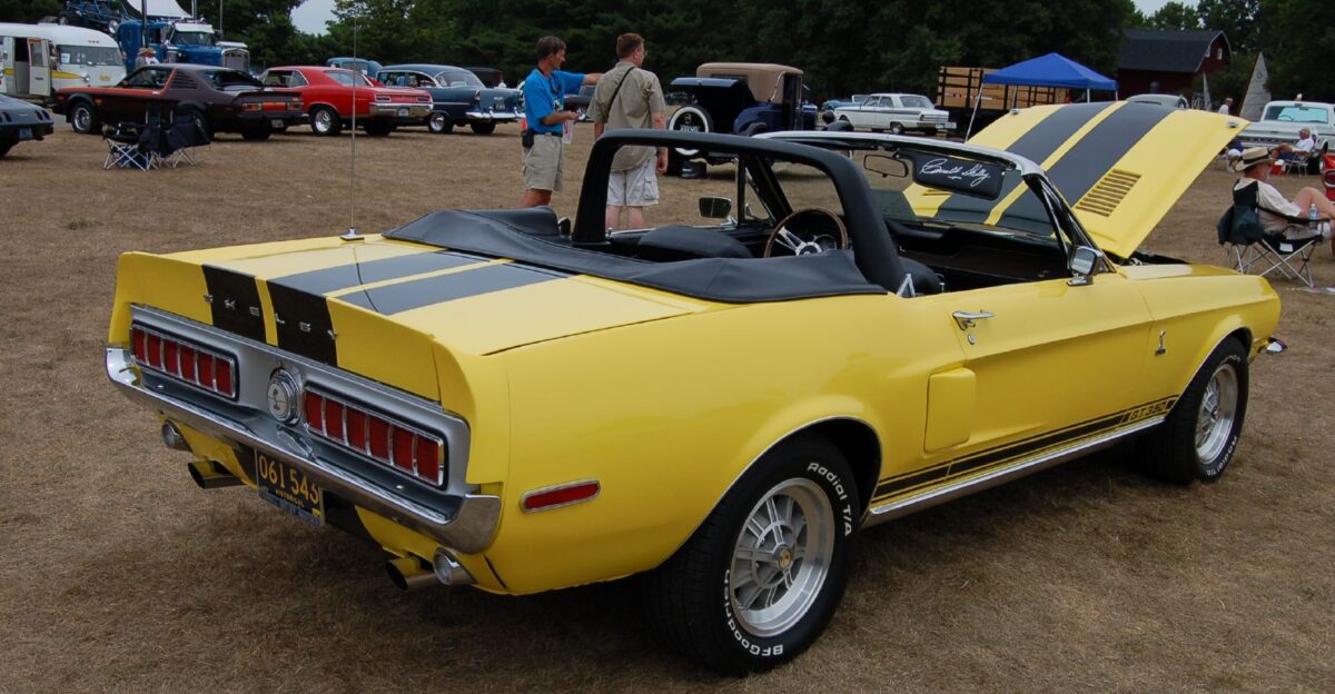 Taken during the 2007 Red Barns Spectacular car show at the Gilmore Car Museum Hickory Corners Michigan