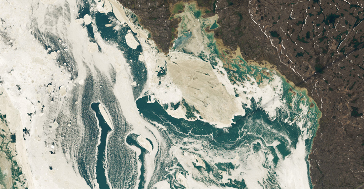 The seasonal melting of sea ice across the central Arctic Ocean and surrounding basins peaks in July the region s warmest month In Foxe Basin currents tidal motion and winds can stir up the now-fragile pieces of ice producing art-like patterns on the water s surface One such moment of seasonal beauty was on full display on July 15 2024 when the OLI-2 Operational Land Imager-2 on Landsat 9 captured this image Foxe Basin off the west coast of Baffin Island in Nunavut Canada measures about 400 kilometers 250 miles across at its widest point Hudson Bay lies to the south connected to the basin by Foxe Channel and additional waterways within the Canadian Arctic Archipelago lie to the west The image above shows the northeastern part of Foxe Basin and several of its largest islands The basin s waters are often clogged with first-year sea ice-seasonal ice that is less than a year old New ice begins to form each year around October according to Environment and Climate Change Canada and it continues to spread and thicken through the winter until melting begins in late May or early June As of August 2024 the basin was nearly ice-free except for areas west of Baffin Island and within Foxe Channel The images above show detailed views of patterns in the ice on July 15 The basin s ice is often in motion producing the wispy tendrils of ice and paths of open water that trail some of the larger pieces All of this motion also helps stir up sediment which is the main reason for the ice s muddy appearance Pieces of eroded soil and debris-sloughed from the surrounding land and stirred up from the shallow seafloor-mix with the seawater and stain the ice brown Algae which can grow under the ice and wash onto its surface might also be contributing to the discoloration The basin is a haven for an array of wildlife Several polynas-areas of open water within the sea ice-are an important gathering place for species such as bowhead whales and polar bears Walrus migrating birds and other creatures also rely on the basin s resources NASA Earth Observatory images by Wanmei Liang using Landsat data from the U S Geological Survey Story by Kathryn Hansen
