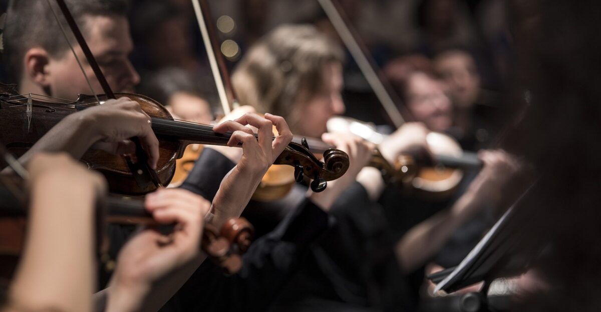 violins musicians orchestra instruments bowed string instruments musical musical instruments classical music concert music performance string instruments orchestra orchestra orchestra orchestra orchestra concert music music music