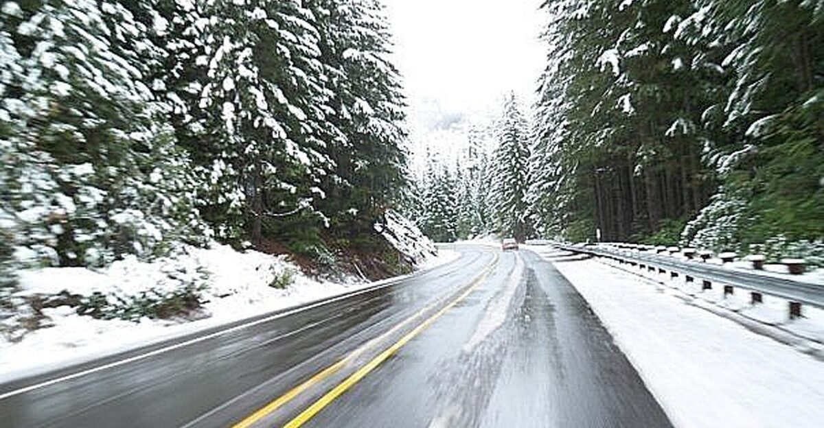 driving winter road travel treacherous drive cold snow slippery trees nature oregon seasonal