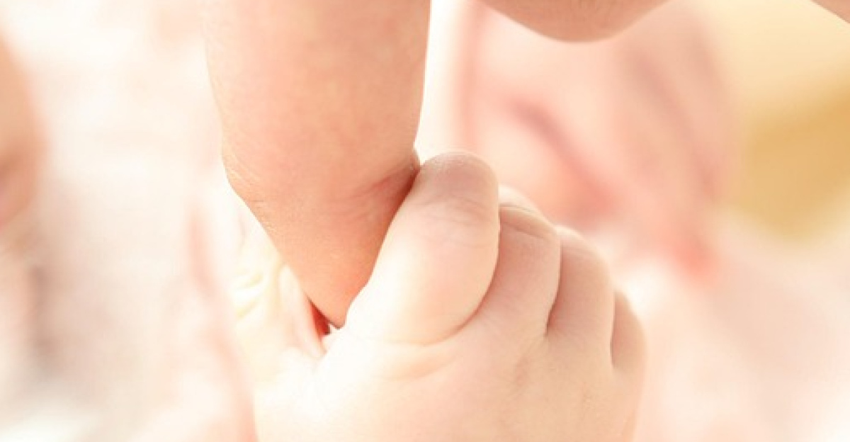 baby, hand, newborn, trust, dad, child, hold, newborn baby, newborn child, offspring, baby, baby, baby, baby, baby