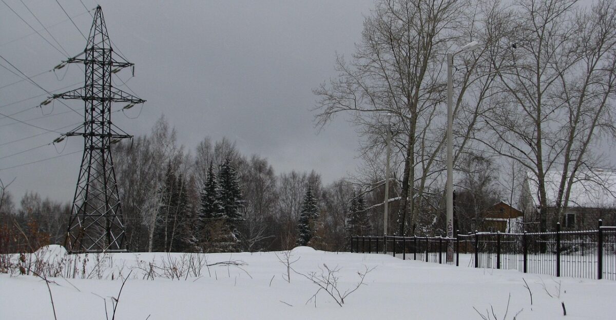 winter nature snow drifts reliance power current pillar wire power line support power line electricity high voltage line sky civilization line trees poplar