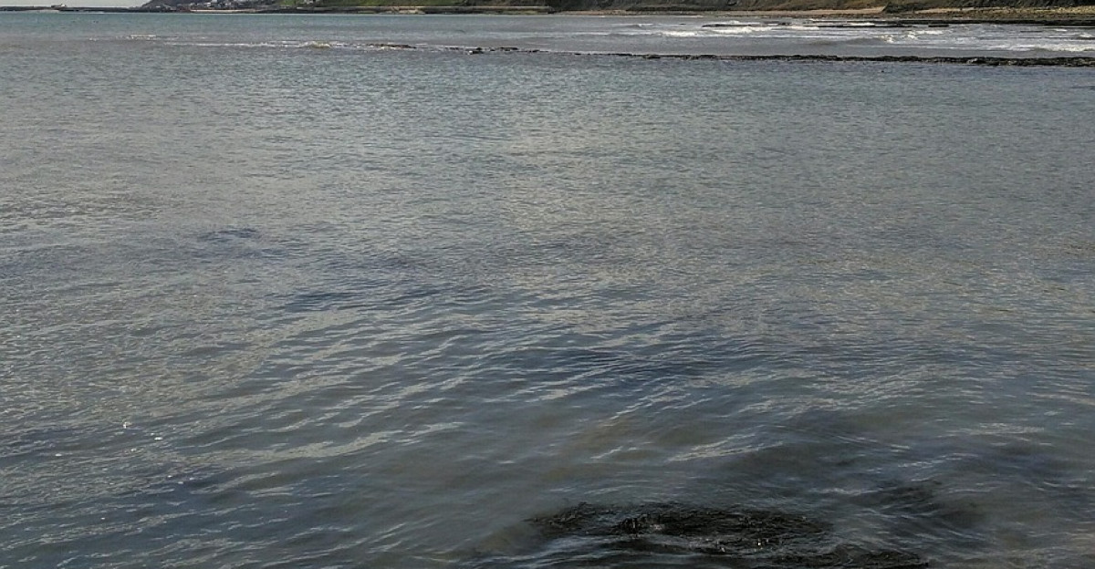 jurassic coast charmouth uk charmouth charmouth charmouth charmouth charmouth