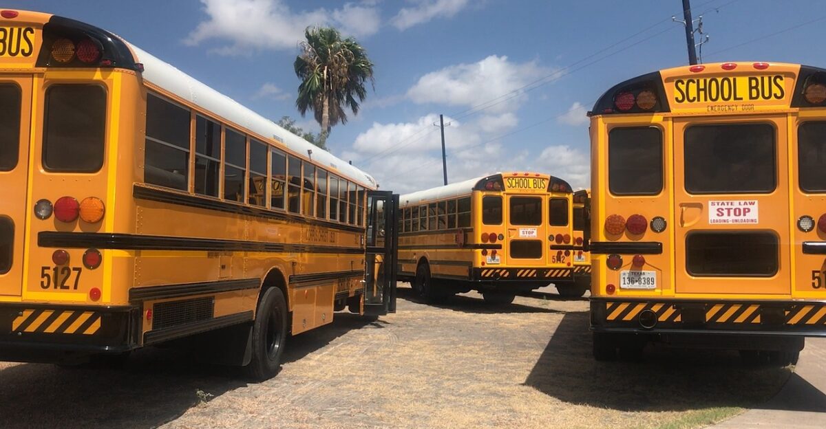 bus school school bus education transportation elementary yellow safety vehicle transport child travel stop young student children people bus stop public driving school texas brown school brown travel brown education brown safety brown bus brown stop school bus school bus school bus school bus school bus