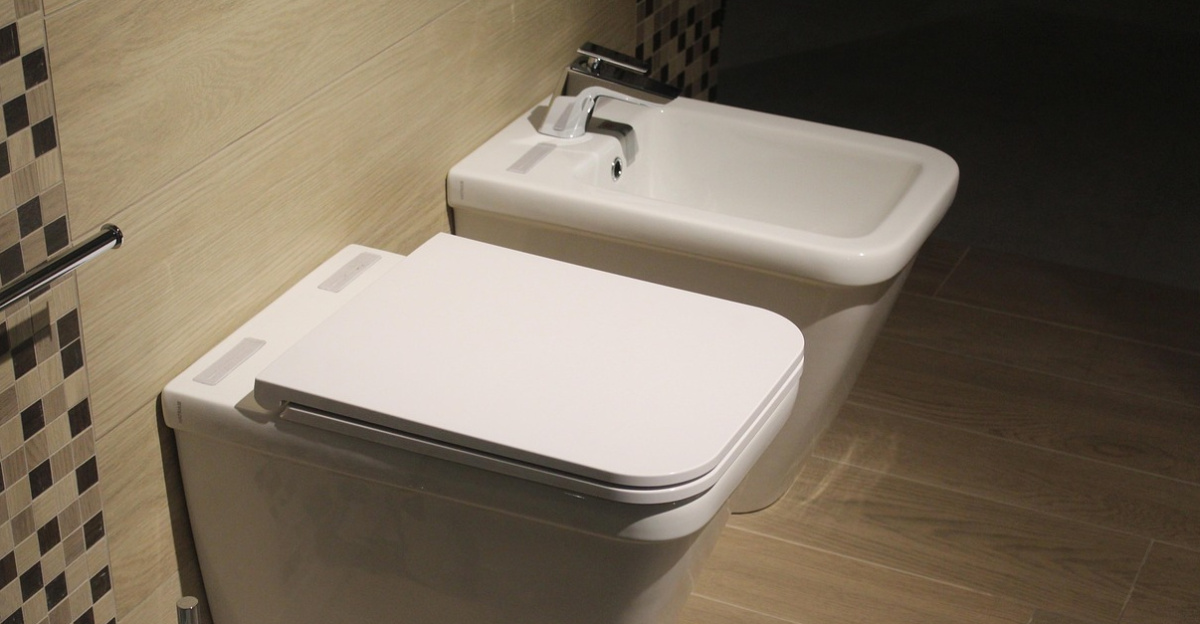 toilet, bidet, vater, sanitary, hygiene, ceramics, bathroom, cup, i unload, tablet, cabinet, cleaned up, toilet, toilet, toilet, toilet, toilet