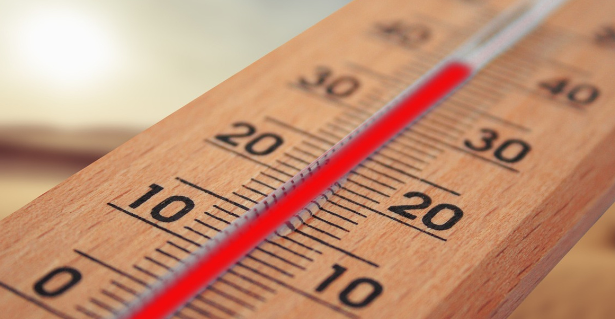 thermometer, summer, hot, nature, heat, sun, temperature, warmth, energy, heaven, weather, climate, extreme, climate change