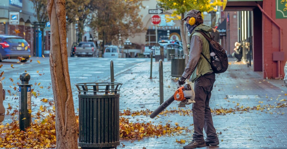 fall blowing street leaves blower street morning nature trees stores alone backpack