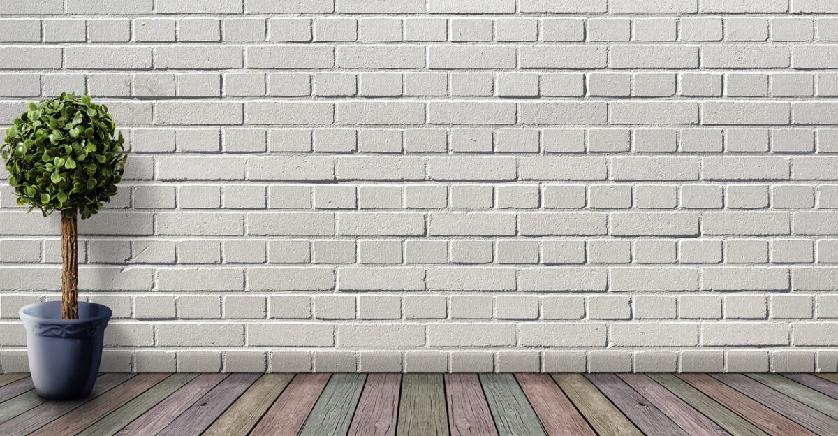 space empty wooden floor plant plant pot boxwood deco houseplant nature white inner space wooden floorboards coloured wall room stone wall architecture living room floor inside brick wall