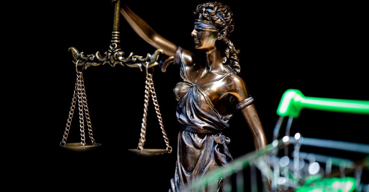 justitia online shopping dish verdict judge law penalty justice hammer lawyer attorney legal basis libra authority paragraph symbol dsgvo the courtroom system judge lawyer lawyer lawyer lawyer lawyer