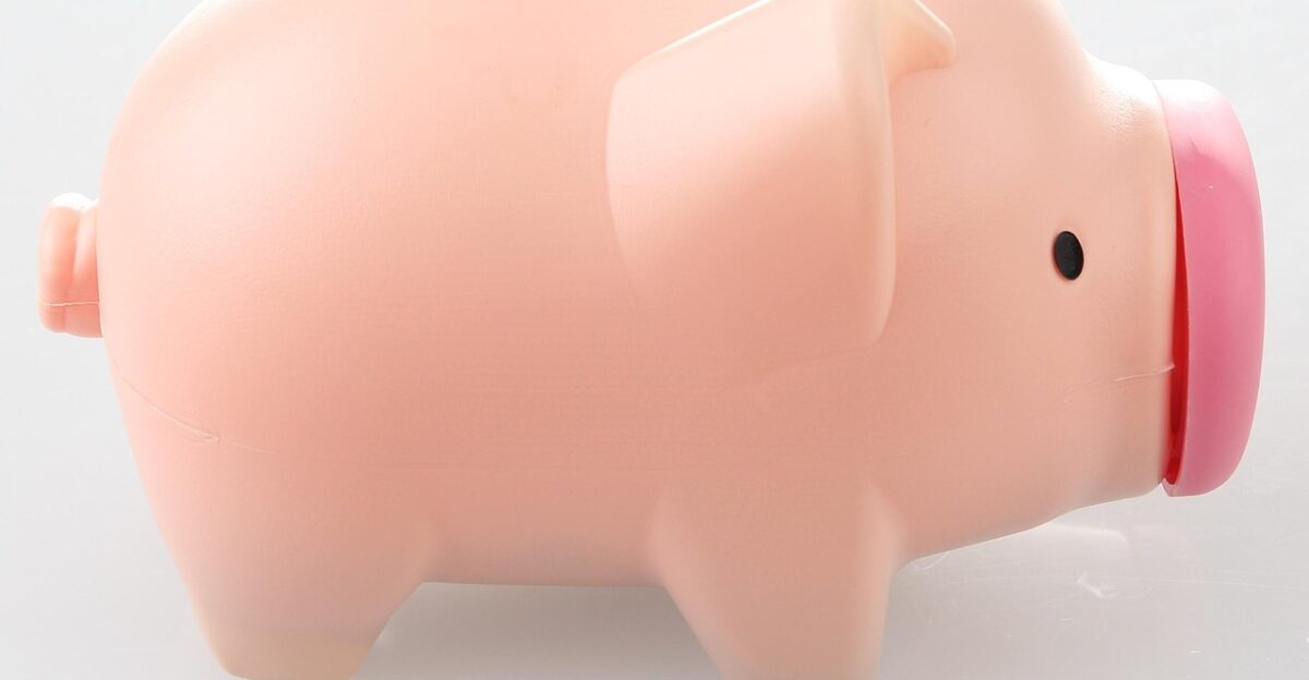 pig piggy bank moneybox piggy bank piggy bank piggy bank piggy bank piggy bank