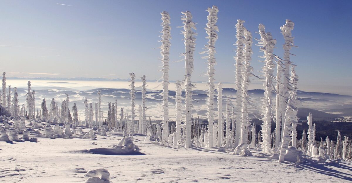 bavarian forest three armchairs snow landscape winter panorama winter magic winter winter landscape winter winter winter winter winter winter landscape