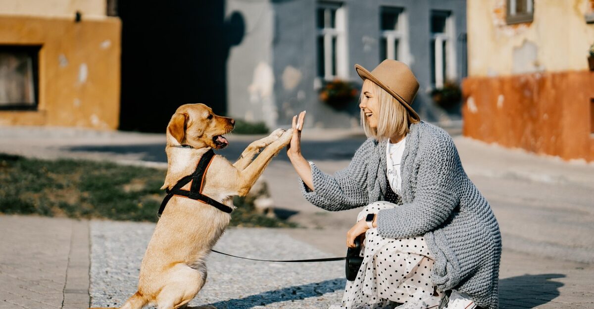 girl dog pet friendship companion owner caucasian blonde caucasian female blonde female canine nature domestic dog doggy happy animal love woman cute puppy