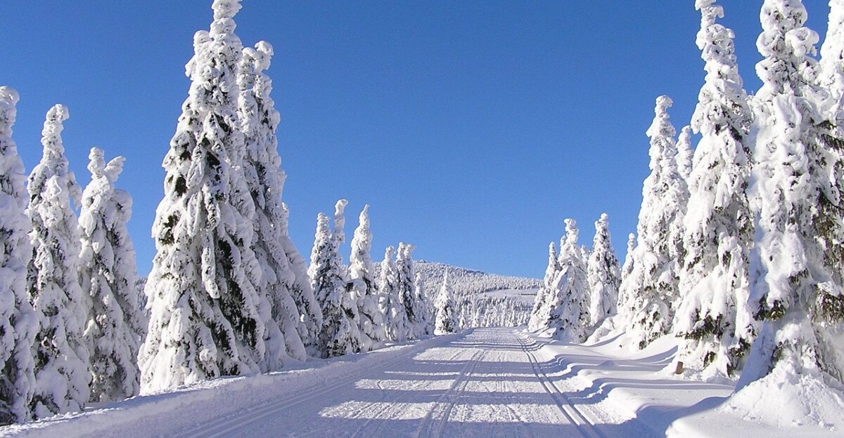winter mountains nature krkono e mountains