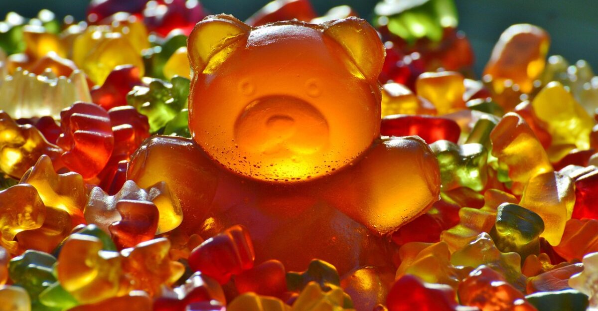 giant gummy bear gummy bear gummi bear bear yummy coloured colorful sweetness gummy bears haribo nibble children fruit jelly mixture cute snack sugar gummy bear gummy bear gummy bear bear bear bear bear bear gummy bears gummy bears gummy bears children snack sugar sugar sugar sugar