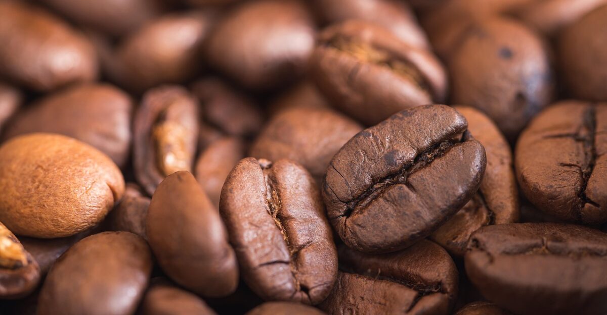 coffee coffee beans coffee shop beans caffeine food espresso coffee pot fragrance roasted aroma enjoyment brown beverages mixed up cappuccino drink fresh luxury items breakfast coffee grinder coffee coffee coffee coffee beans coffee beans coffee beans coffee beans coffee shop coffee shop coffee shop coffee shop coffee shop espresso espresso breakfast breakfast coffee grinder