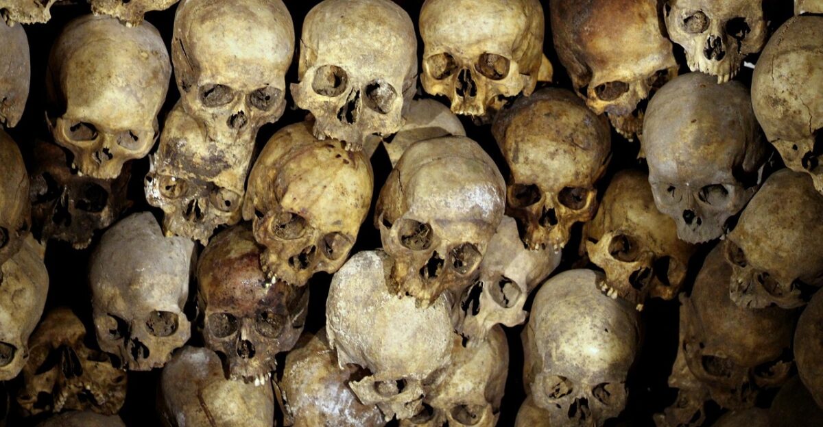 skeleton head bones people skeleton skeleton skeleton skeleton skeleton bones bones bones bones people