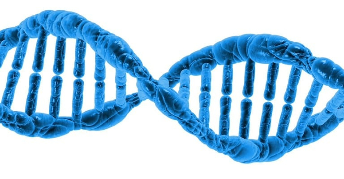 dna, biology, science, dna helix, protein, molecule, molecular structure, chromosome, spiral, microbiology, deoxyribonucleic acid, 3d, render, isolated, dna, dna, dna, dna, dna