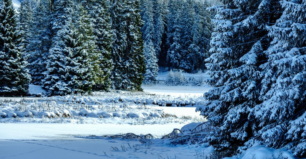 winter, snow, mountains, winter landscape, snow landscape, covered in snow, ice cream, frozen, nature, winter, winter, winter, winter, winter, snow, snow, winter landscape, nature