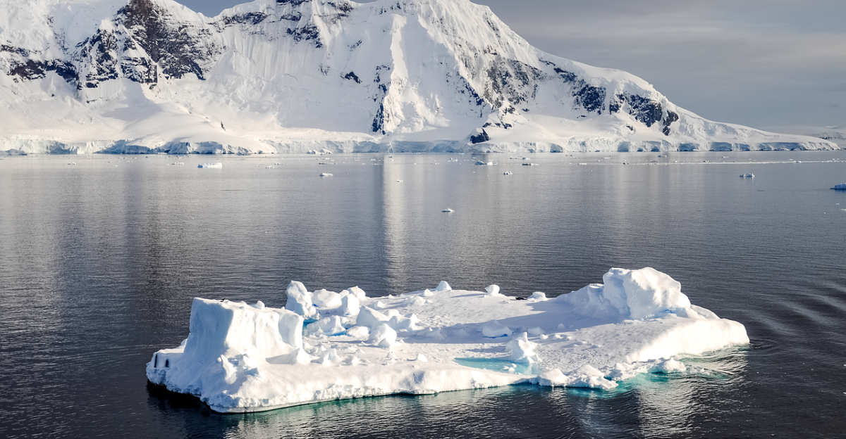 antarctica iceberg ice winter snow cold nature ocean seascape antarctica antarctica antarctica antarctica antarctica iceberg iceberg ice ice cold cold cold cold nature nature