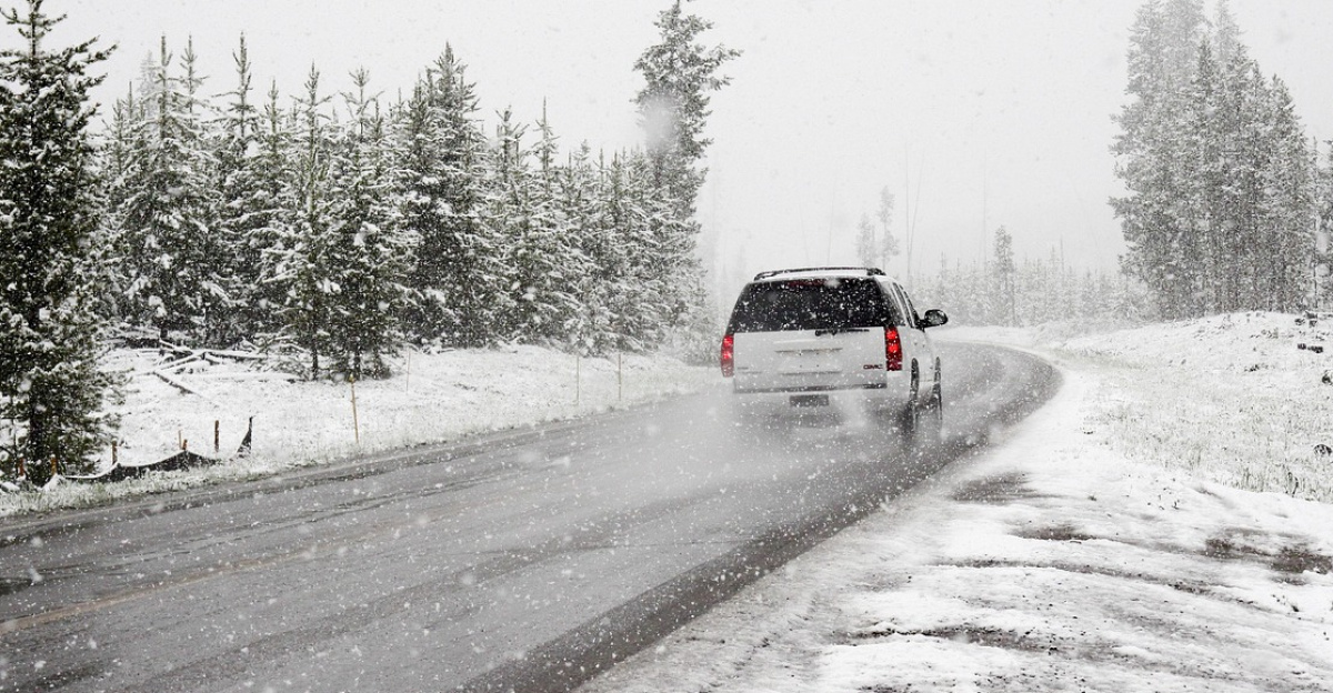 snow, road, suv, winter, nature, car, vehicle, drive, car wallpapers, driving, road trip, snowstorm, snowing, snowfall, conifers, coniferous, snow covered