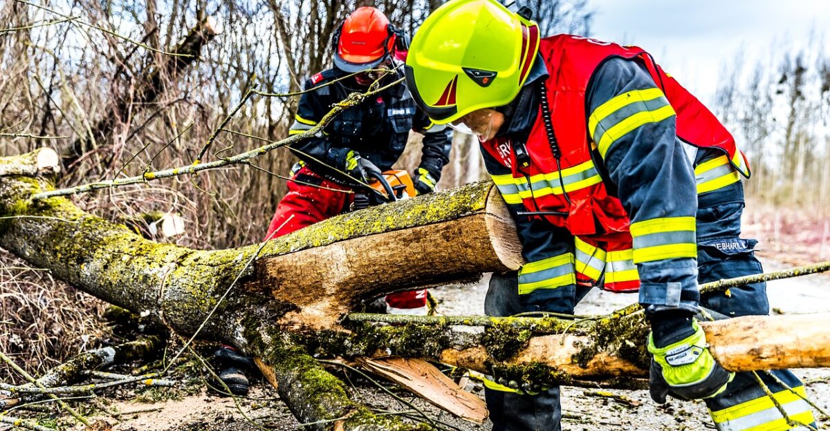 fire fighters storm tree wind storm damage fire service nature firefighter