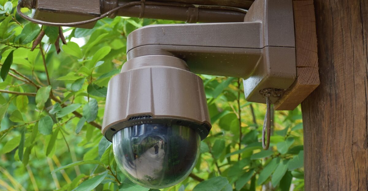 security camera surveillance home protection recorder filming investment protect fbi cia swat 360 degrees bird s eye view technology 2022 police awareness mount mounted secret camera trees herman national park crime prevention protection from theft monitor crime and activity security camera fbi fbi fbi fbi fbi cia cia cia cia secret camera crime prevention crime prevention crime prevention