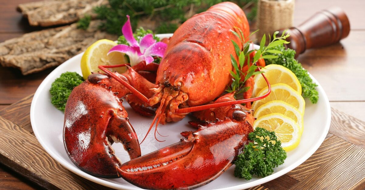 lobster seafood nature ocean